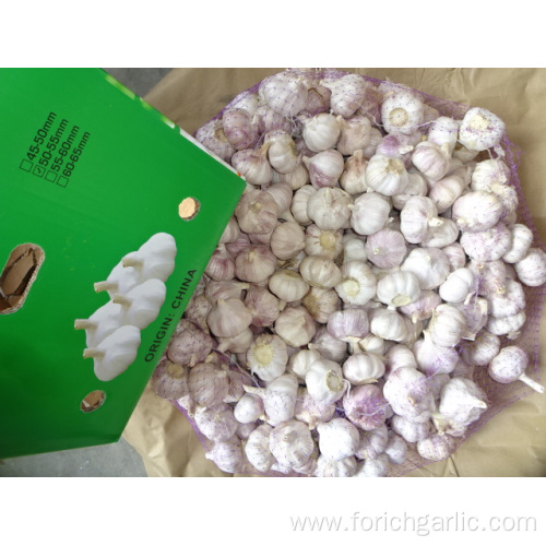 Crop 2019 Normal White Garlic